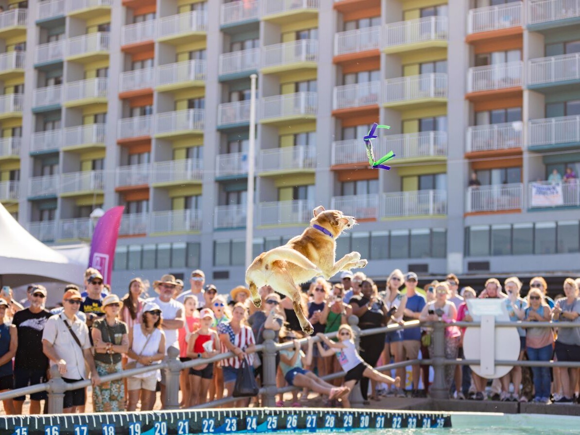 Neptune 2024 Boardwalk Weekend Dockdogs 32