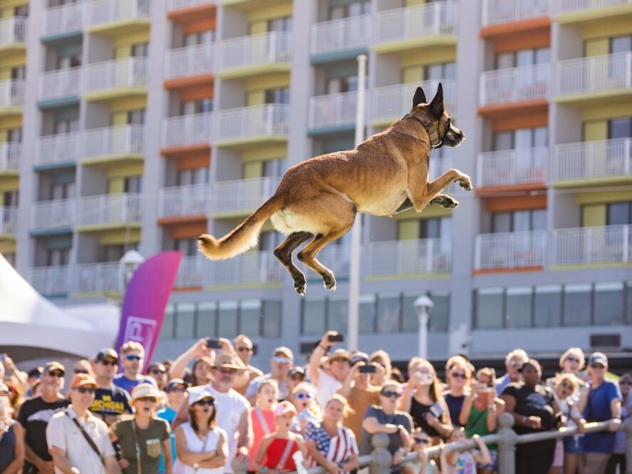 Neptune 2024 Boardwalk Weekend Dockdogs 42