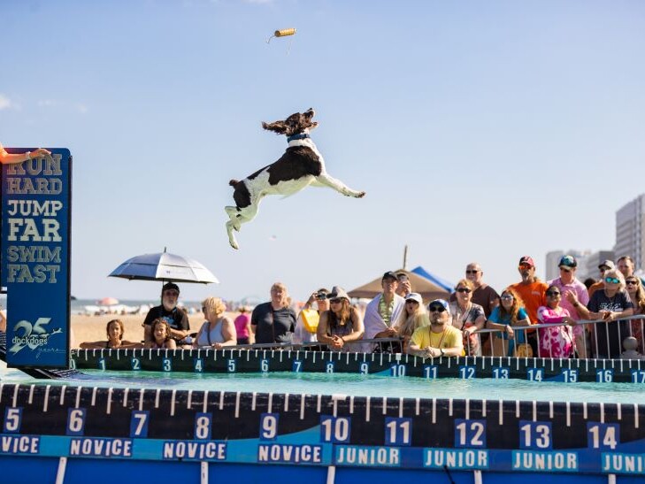 Neptune 2024 Boardwalk Weekend Dockdogs 9
