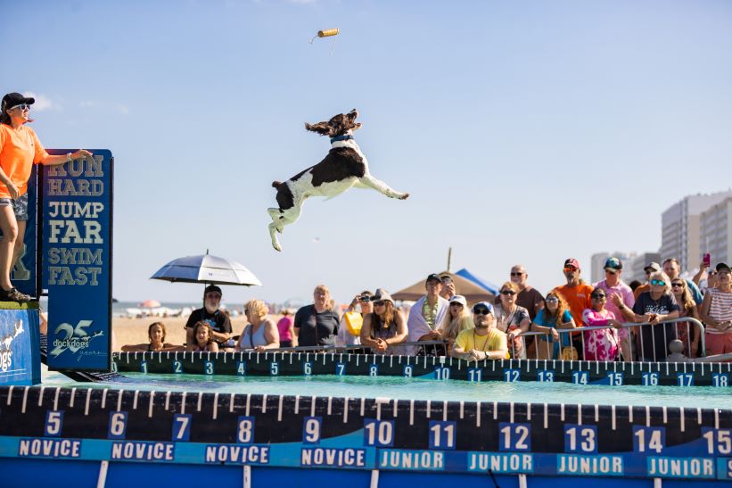 Neptune 2024 Boardwalk Weekend Dockdogs 9
