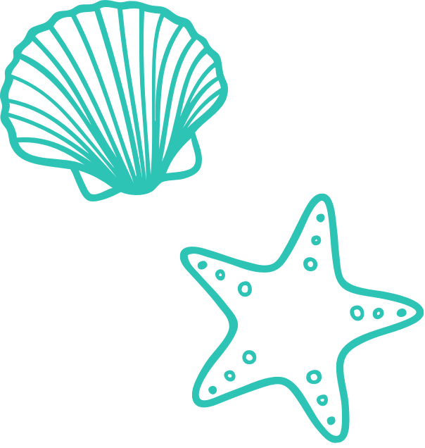 Shells and Starfish Graphic