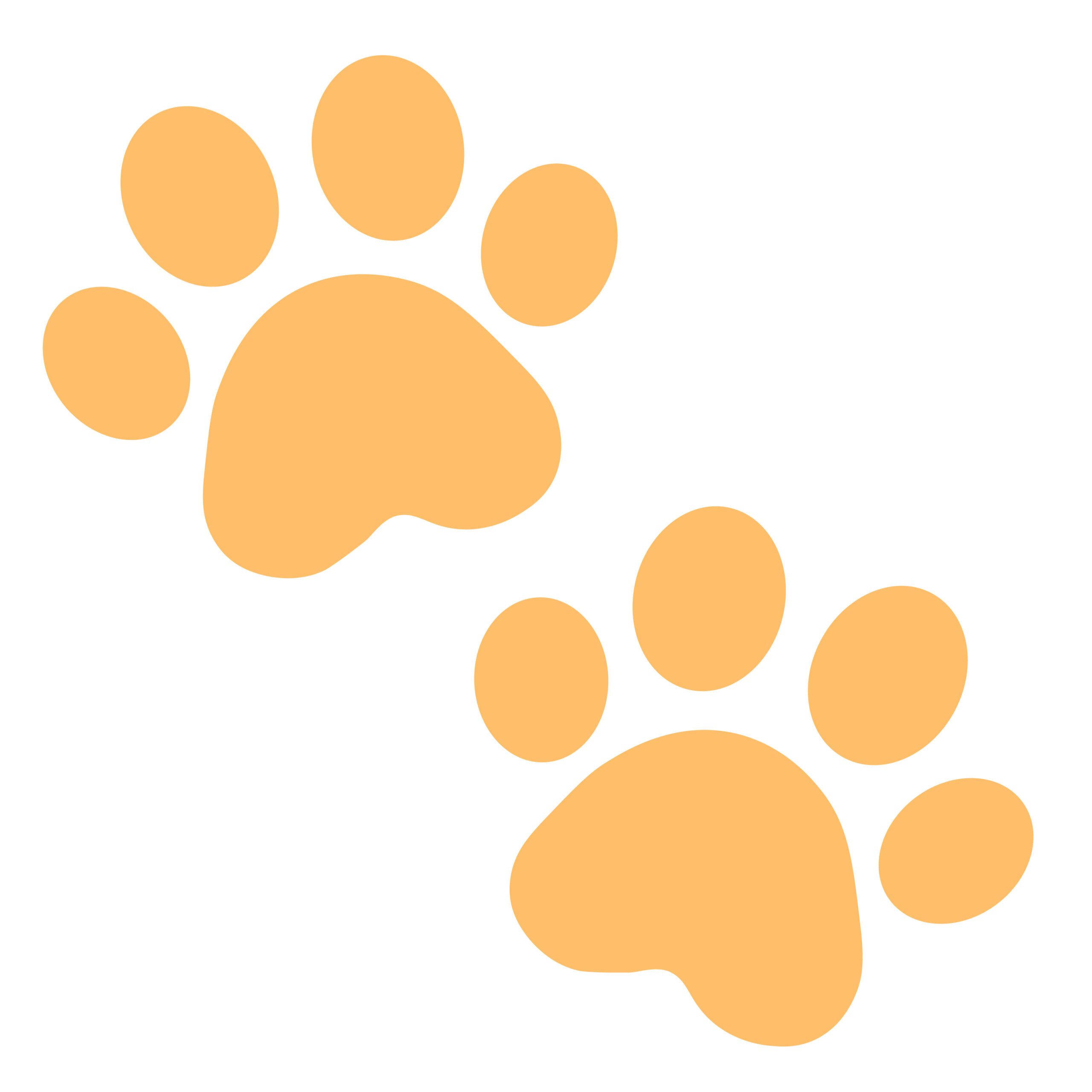 Paw prints Icon