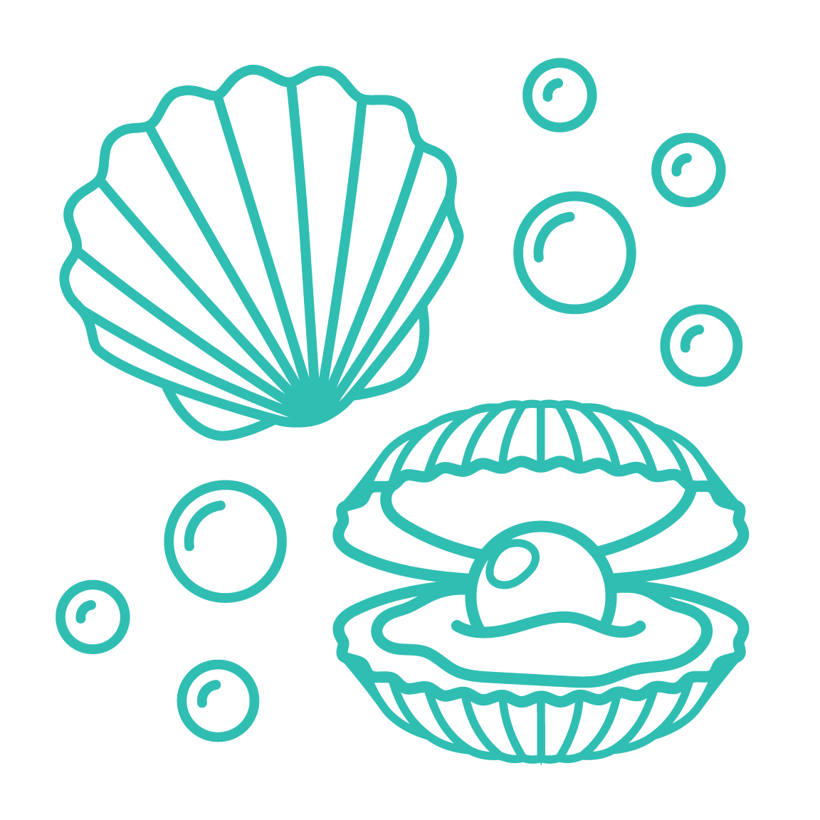 scallop shells graphic