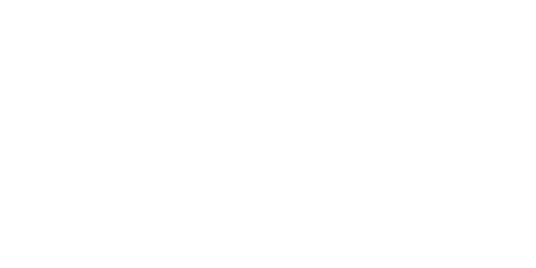 TNF RGB FILLED Simple Version Horizontal WHITE@2x DIGITAL