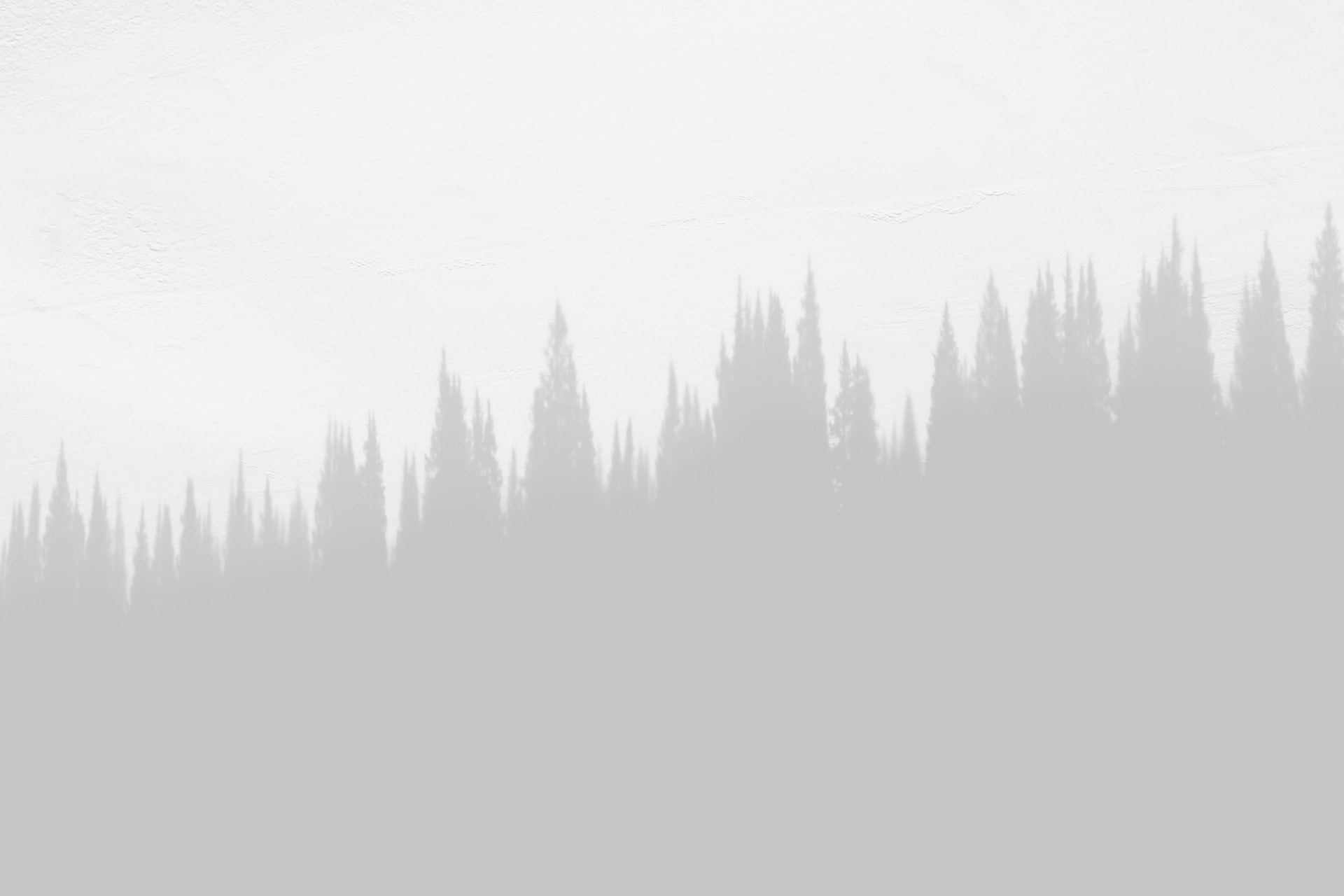 Wireframe placeholder